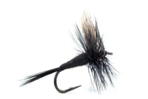 Black Gnat dry fly