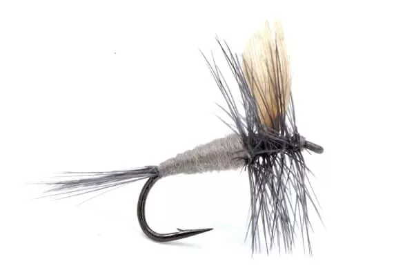 Blue Dun fly pattern