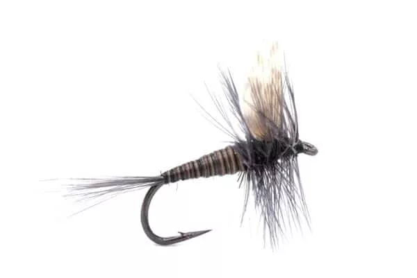 Blue Quill