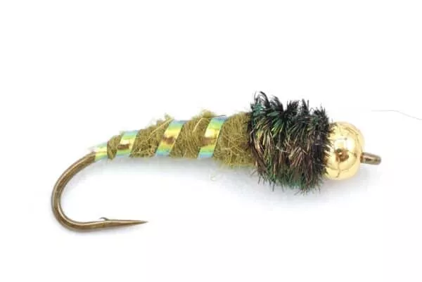 Caddis Larva