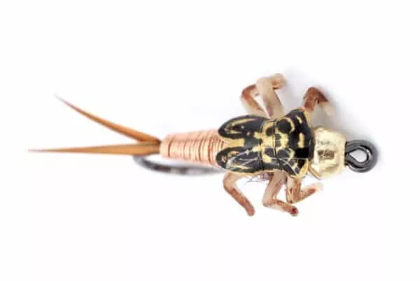 Copper King