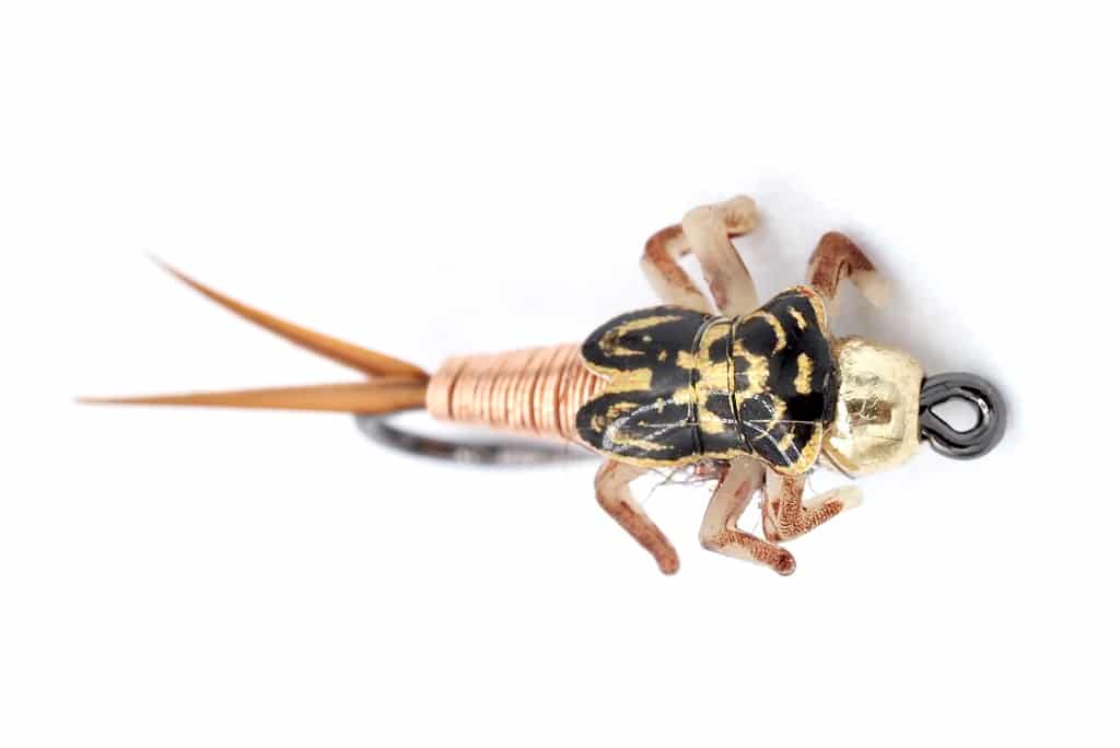 Copper King - The more realistic Copper John | Superflies.com