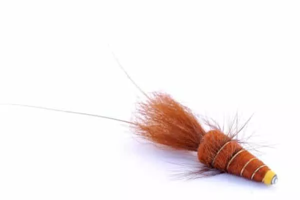 Frances Brown Tungsten Tube