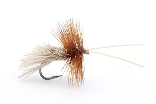 Goddard Caddis dry fly