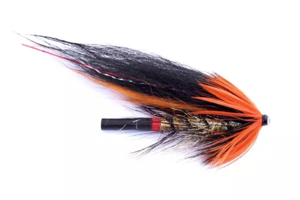 Flaming Orange Templedog putki