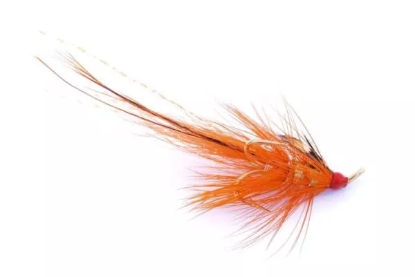PBP Orange kolmihaara