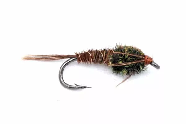 Pheasant Tail Nymph