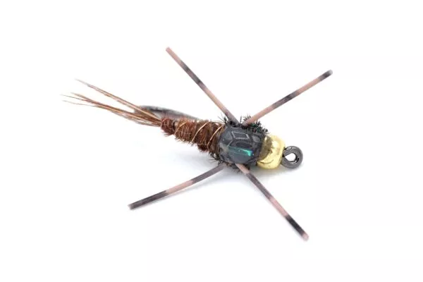 Pheasant Tail Rubberlegs - Image 2