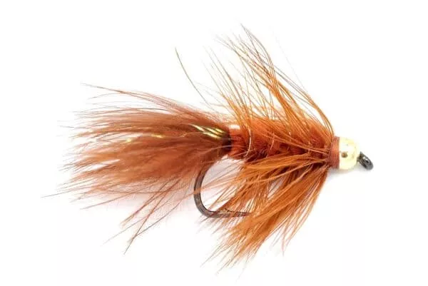 Wooly Bugger - Image 3