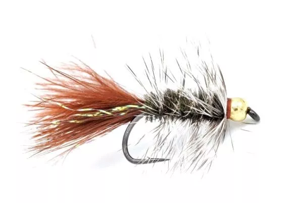 Peacock Wooly Bugger
