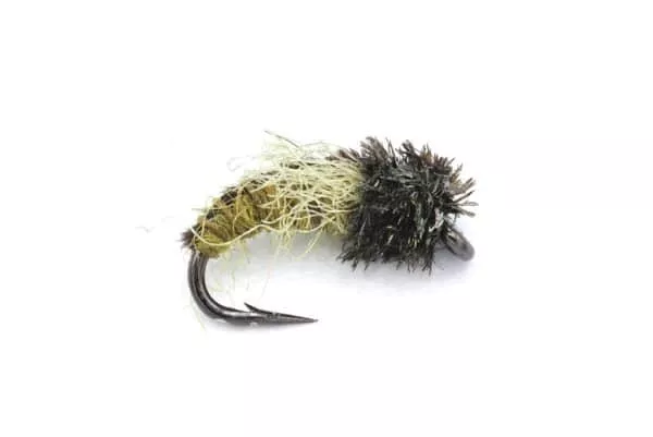 Z-Wing Pupa - Image 2