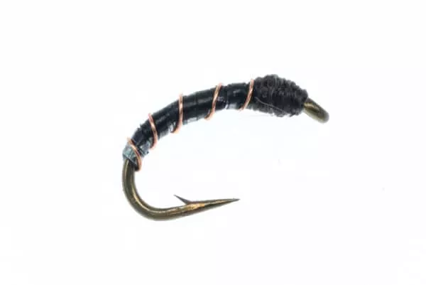 Flash Midge Larva