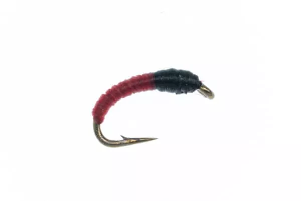 Blood Midge