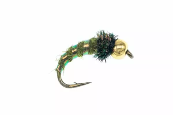 Caddis Larva beadhead fly