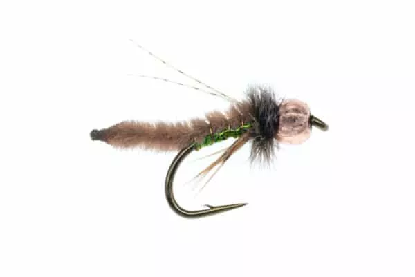 Chenille Pupa Beadhead - Image 2