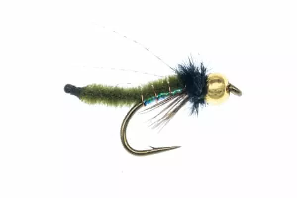 Chenille Pupa Beadhead