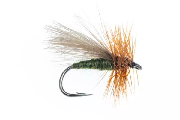 Olive CDC Sedge