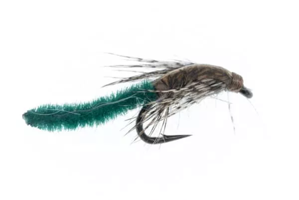 Chenille Pupa - Image 3