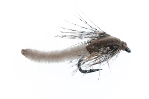 Chenille Pupa - Image 4