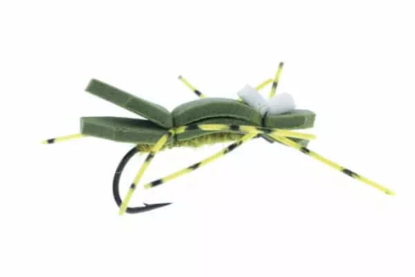 Chernobyl Ant - Image 3
