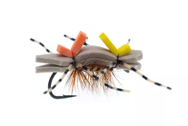 Chernobyl Ant - Image 2