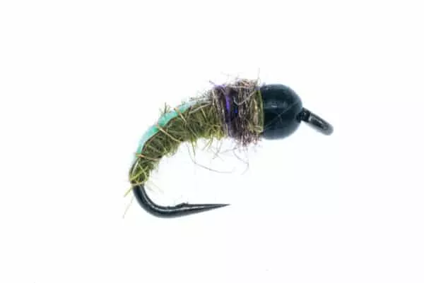 Electric Caddis Larva