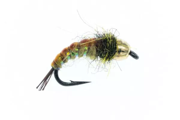 GTI Caddis