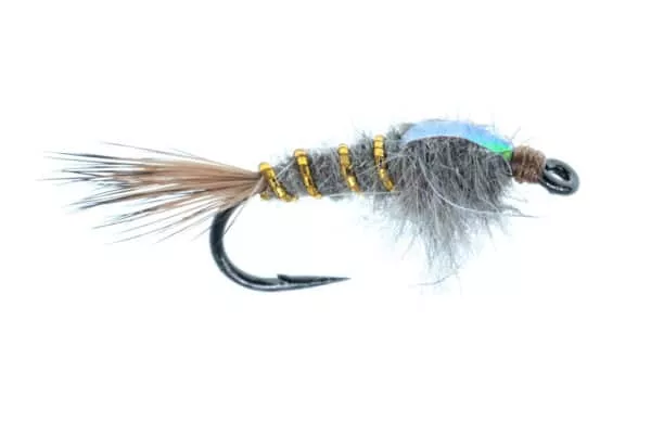 Hare's Ear Flashback