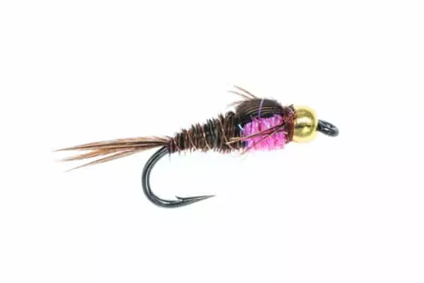 Pheasant Tail Nymph Hotspot