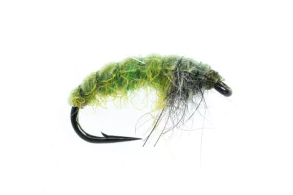 Hydro Larva - Image 4