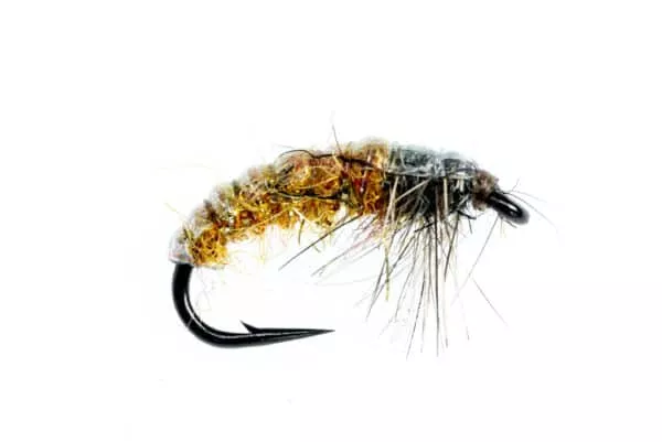 Hydro Larva - Image 3