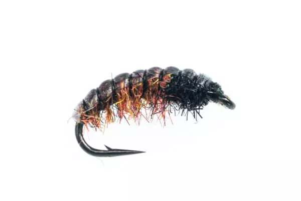 Hydro Larva - Image 2