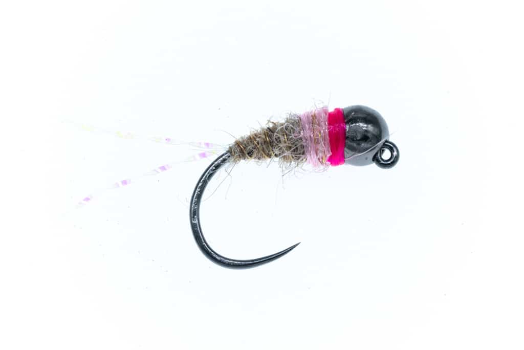 Pink Squirrel Nymph Jig