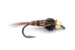 Pheasant Tail Beadhead nymph