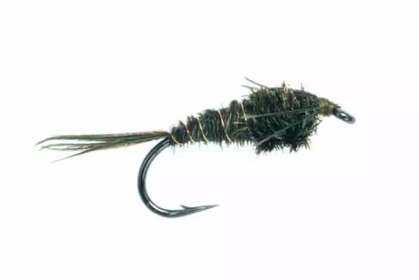 Pheasant Tail Olive