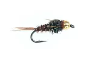 Nymfer