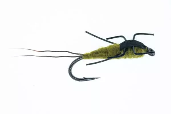 Real Meal Nymph