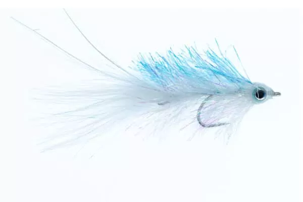 Shimmering Minnow