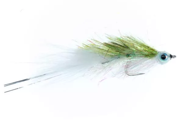 Shimmering Minnow - Image 2