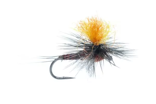 Spinner Profile