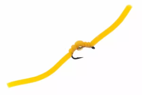 Squirmy Wormy - Image 5