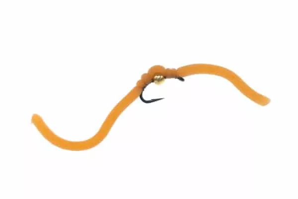 Squirmy Wormy - Image 2