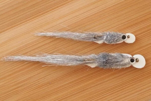 Surffilauta