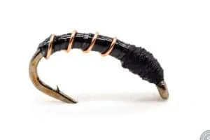 Midge larva fly