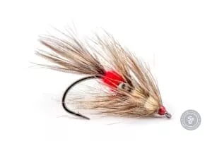 Vaskebjörn Coastal seatrout fly