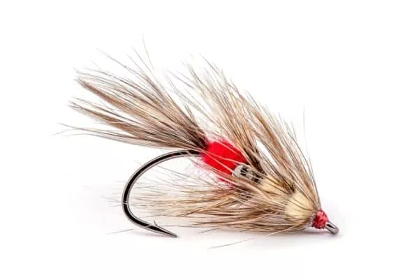 Vaskebjörn Coastal seatrout fly