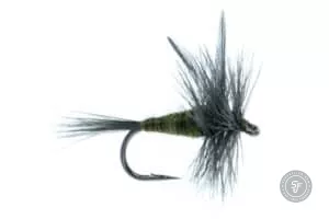 Blue-Winged Olive dry fly