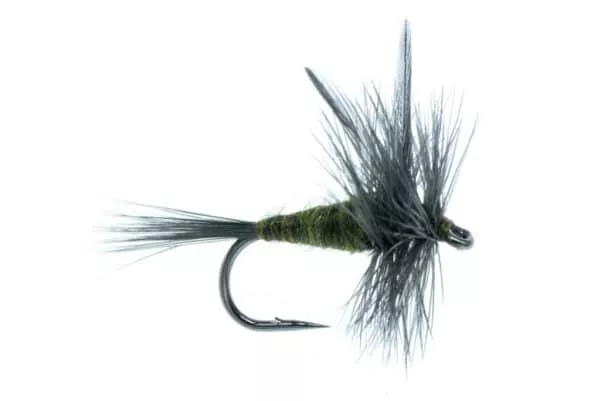 Blue-Winged Olive dry fly