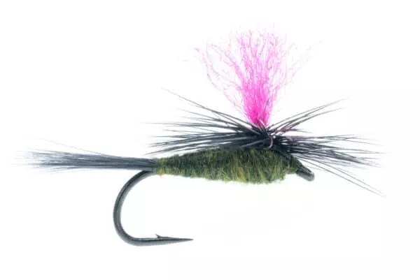 Parachute Blue-winged Olive Hi-Viz