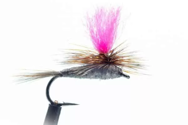 Parachute Adams dry fly with hi-viz post